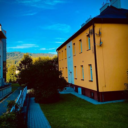 Cristal Apartament Krynica - Zdroj Екстериор снимка