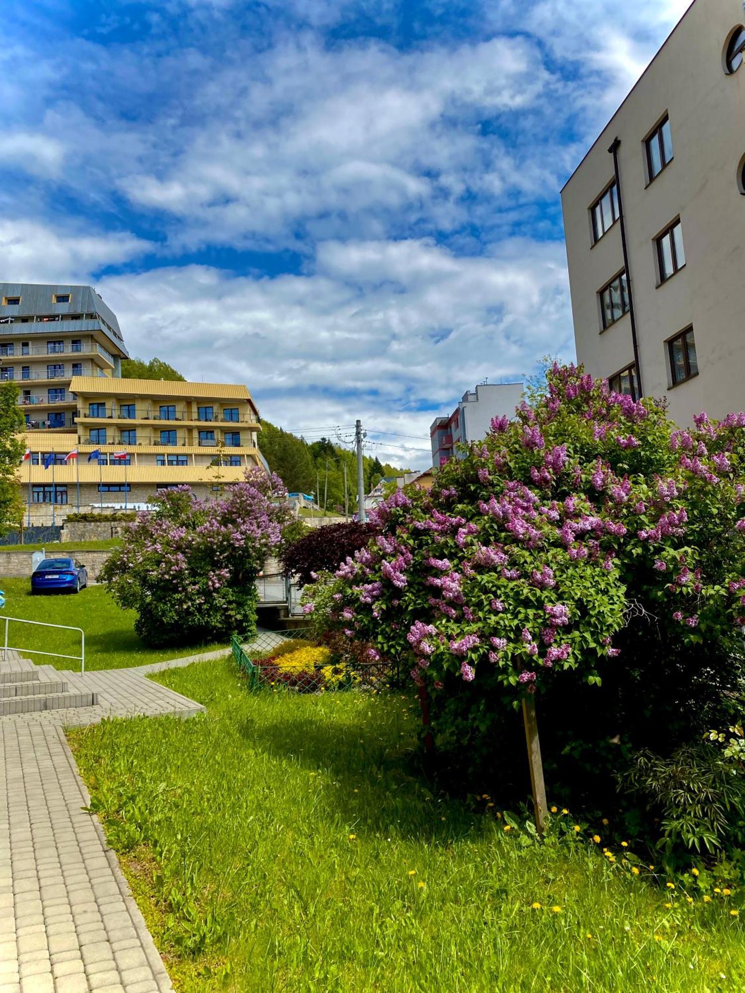 Cristal Apartament Krynica - Zdroj Екстериор снимка
